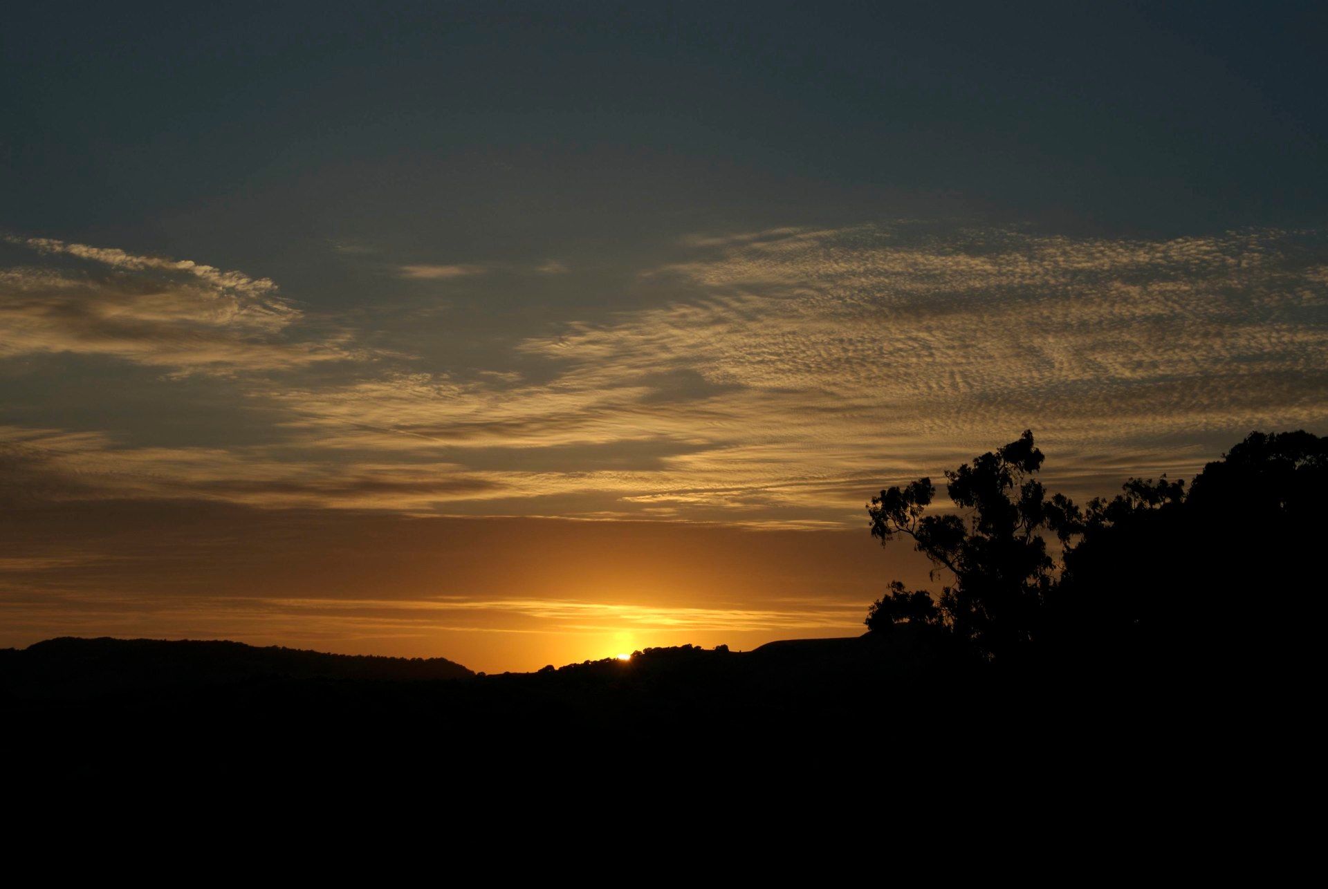 Napa Sunset