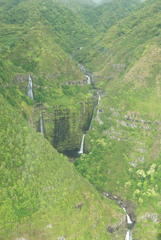 20 Days - Maui Style!, photograph 21 of 41