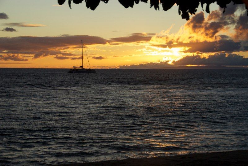 20 Days - Maui Style!, photograph 34 of 41