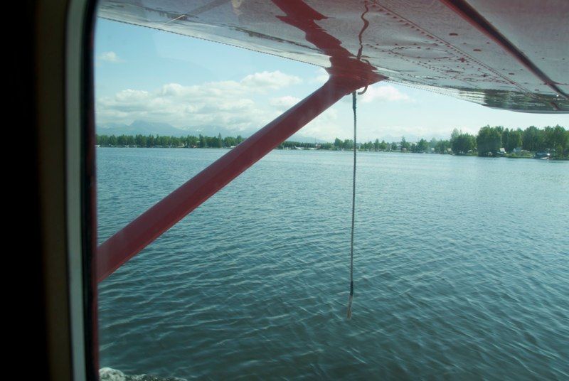Double Musky Express!!!, photograph 4 of 64