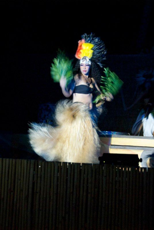 Maui 2010 - Cirque Polynesia, photograph 6 of 18