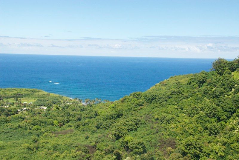 Maui 2010 - The Road to Hana, photograph 9 of 13