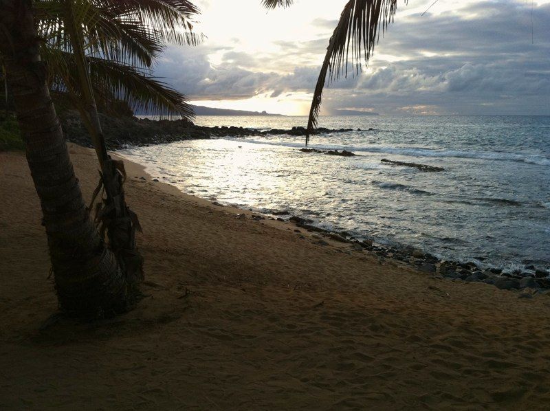 20 Days - Maui Style!, photograph 29 of 41