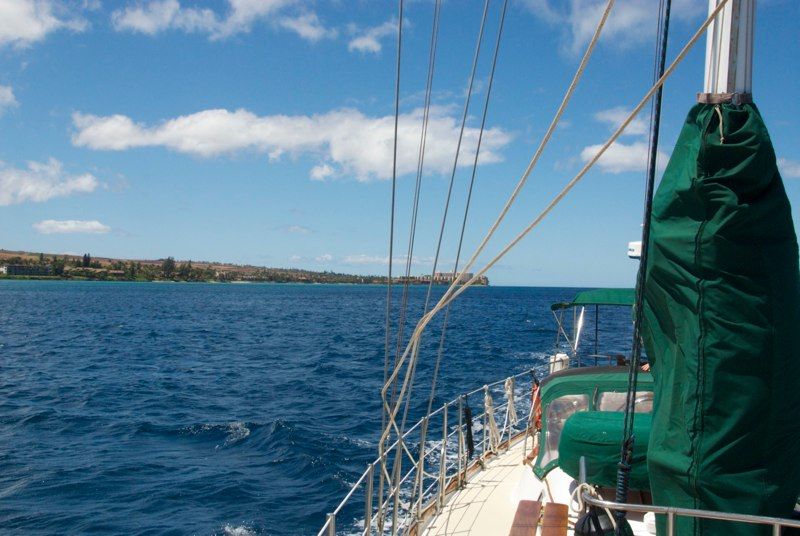 Maui 2010 - Ocean Sailing, photograph 13 of 57