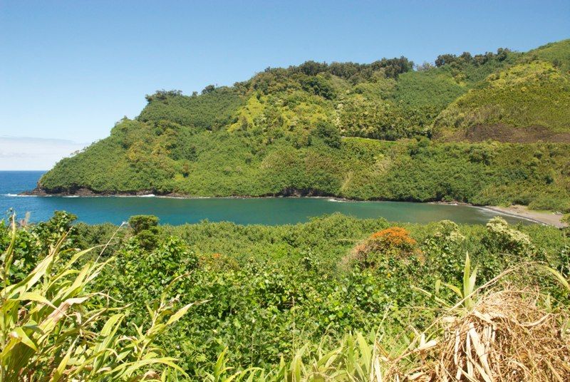 Maui 2010 - The Road to Hana, photograph 13 of 13
