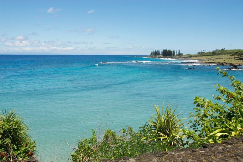 20 Days - Maui Style!, photograph 26 of 41